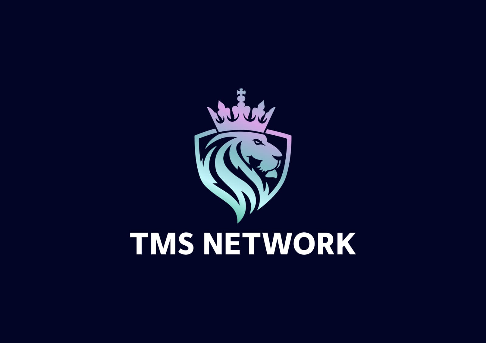 Experts’ Recommendation For 2023 – TMS Network (TMSN) Termed Best, Litecoin And Polygon Lag Behind 